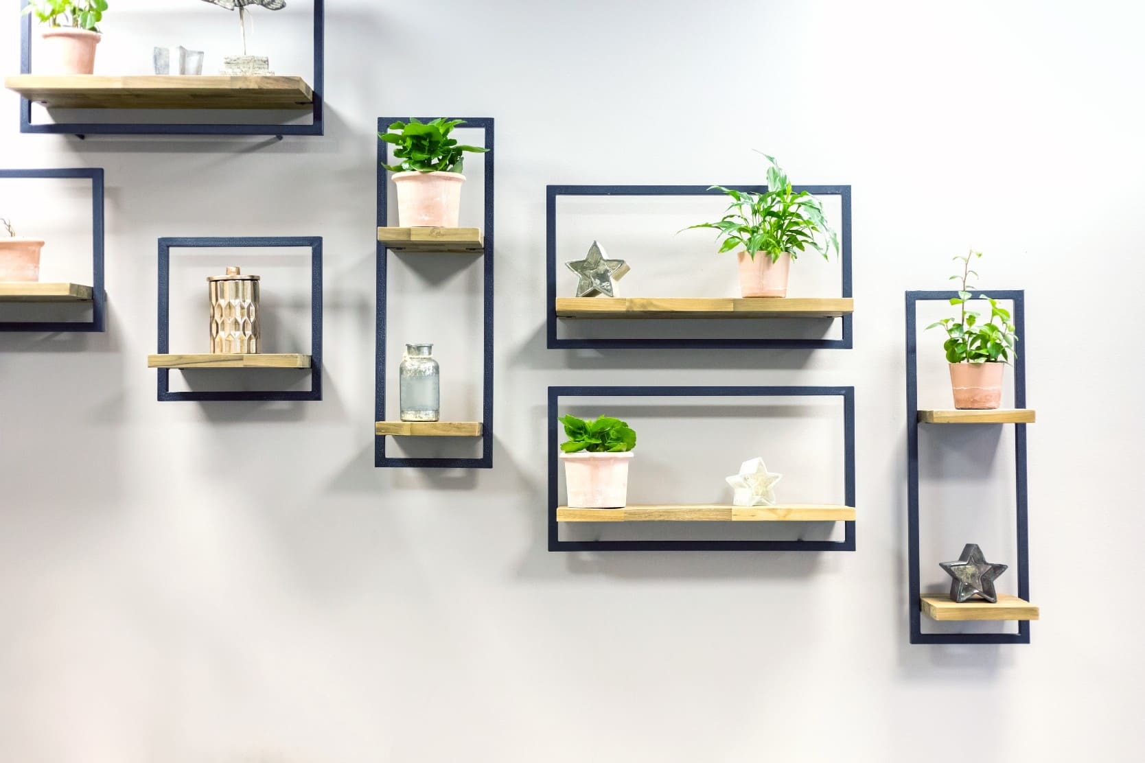 Floating shelves with plants on the wall of a home